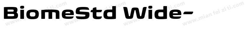 BiomeStd Wide字体转换